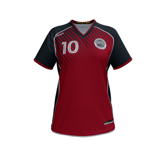 Ladies Custom Jerseys Raptor Womens VNeck Jersey 2.0. (x 21)