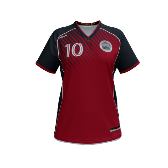 Ladies Custom Jerseys Raptor Womens VNeck Jersey 2.0. (x 4)