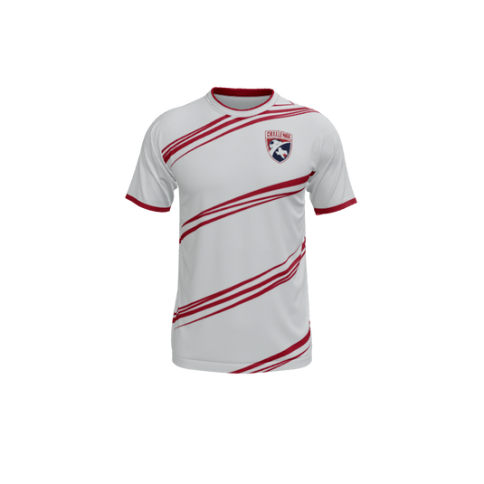 Mens Jerseys Swing Crew Neck ECO Jersey. (x 40)