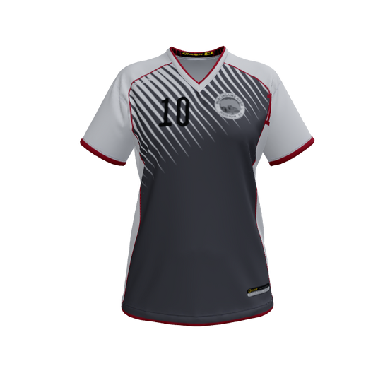 Ladies Custom Jerseys Raptor Womens VNeck Jersey 2.0. (x 6)