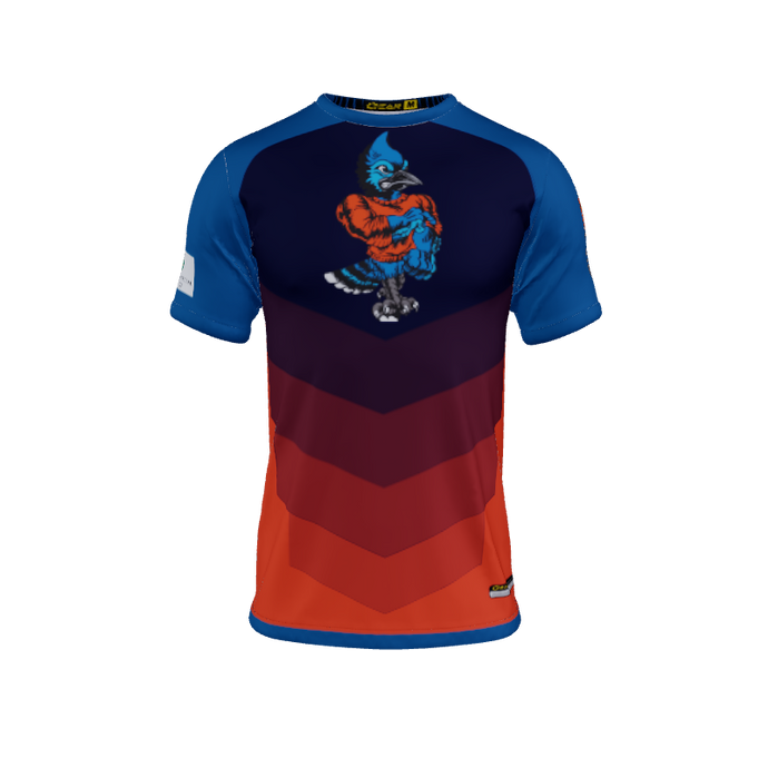 Mens Jerseys Chevron Crew Neck Jersey 2.0. (x 9)