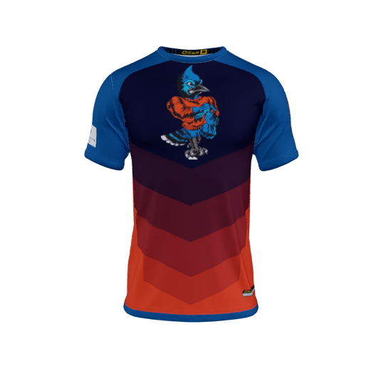 Mens Jerseys Chevron Crew Neck Jersey 2.0. (x 9)