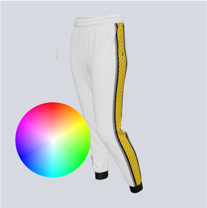 Load image into Gallery viewer, Custom Thin Stripe Ladies Track Pant w/Ankle Zips
