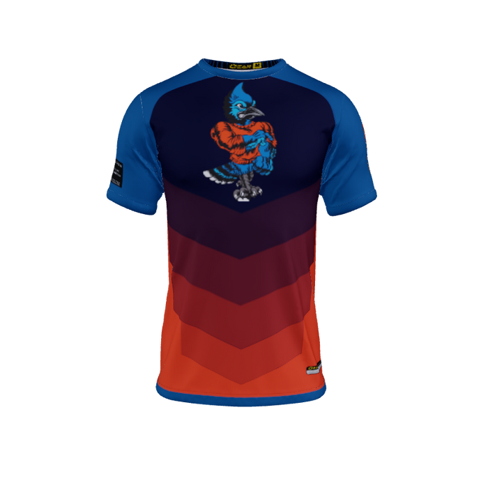 Mens Jerseys Chevron Crew Neck Jersey 2.0. (x 9)