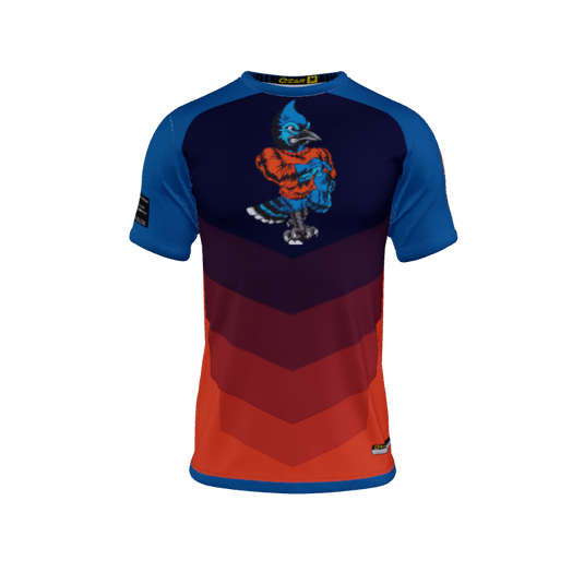 Mens Jerseys Chevron Crew Neck Jersey 2.0. (x 9)