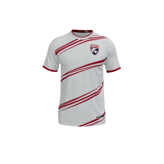 Mens Jerseys Swing Crew Neck ECO Jersey. (x 174)