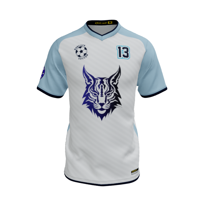 Mens Jerseys Core VNeck Jersey 2.0. (x 40)