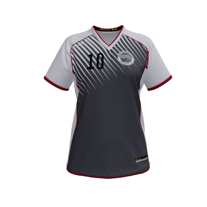 Ladies Custom Jerseys Raptor Womens VNeck Jersey 2.0. (x 10)