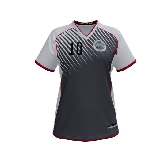 Ladies Custom Jerseys Raptor Womens VNeck Jersey 2.0. (x 10)